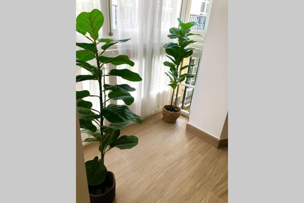 Gatu Premium Villa Libertad, Preferente Mayores De 25 Anos Y Familias Кадис Екстериор снимка